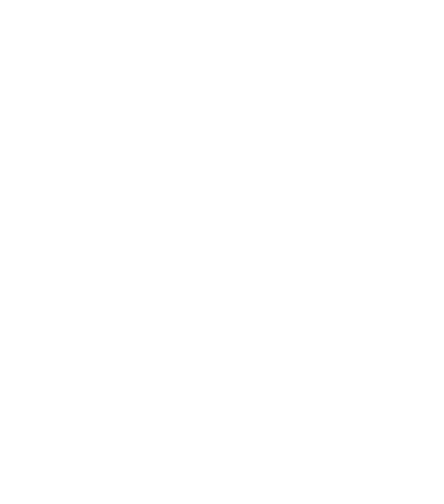 Integral Associates